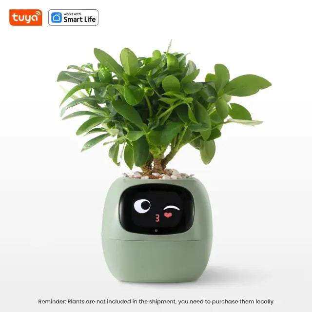 Plantagotchi™ - AI Smart Planter Chicky Picks™