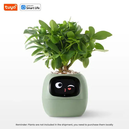 Plantagotchi™ - AI Smart Planter Chicky Picks™